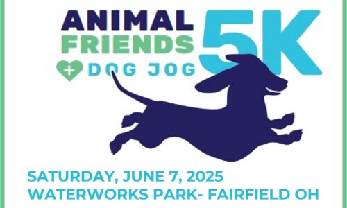 Dog Jog